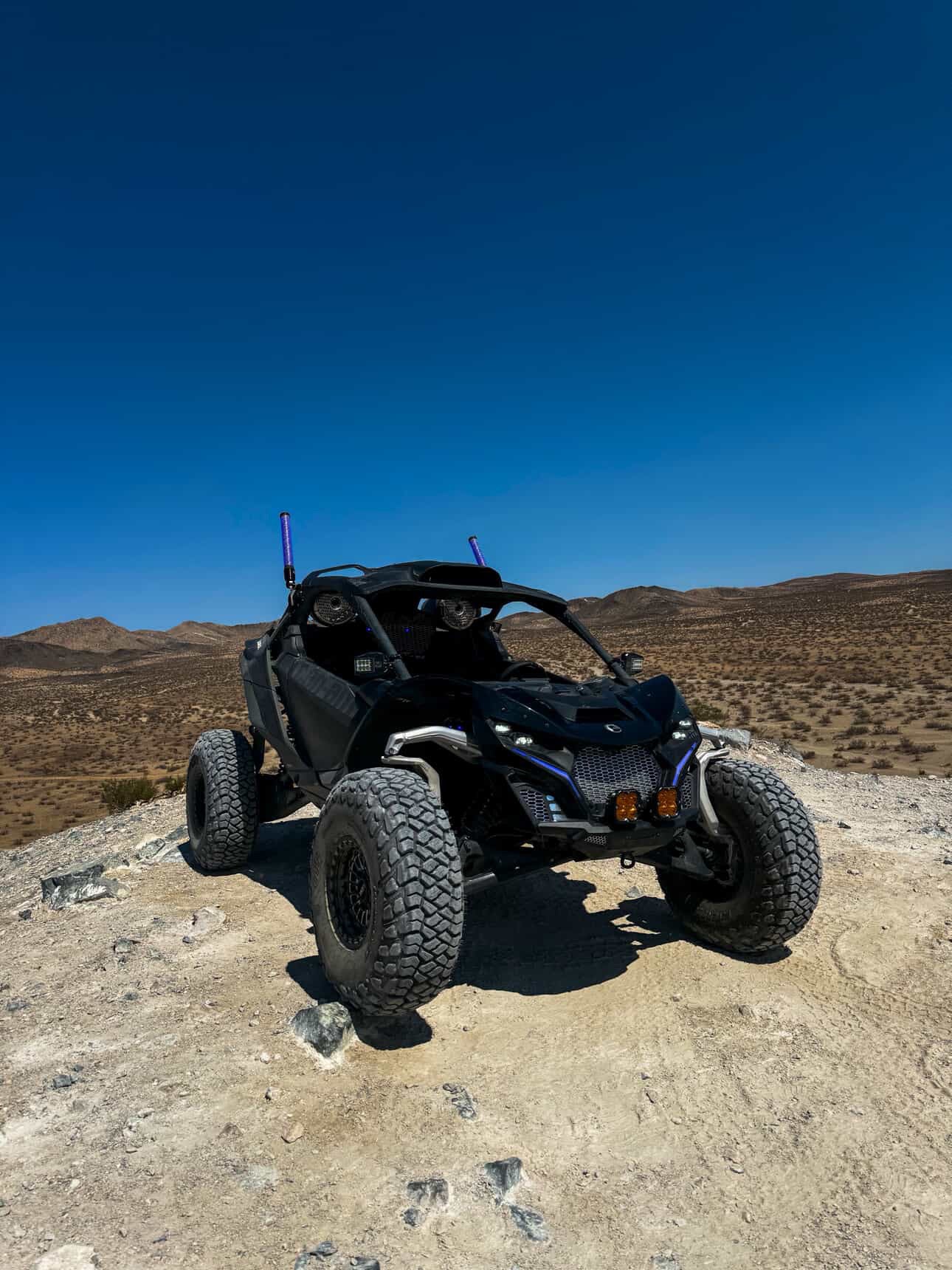 Maverick R Fang Light