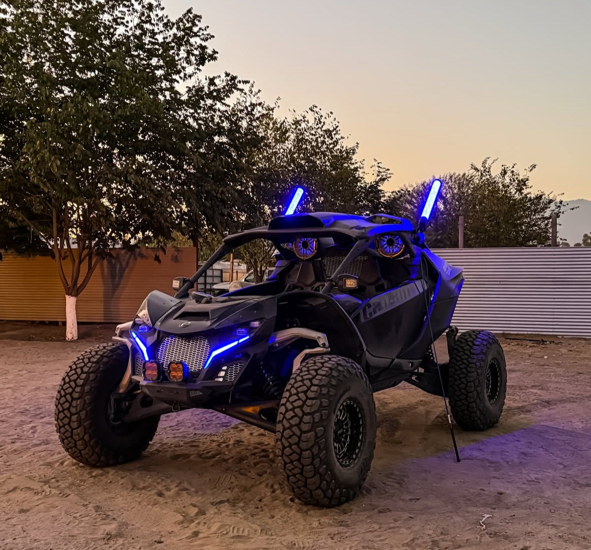 Maverick R Fang Light